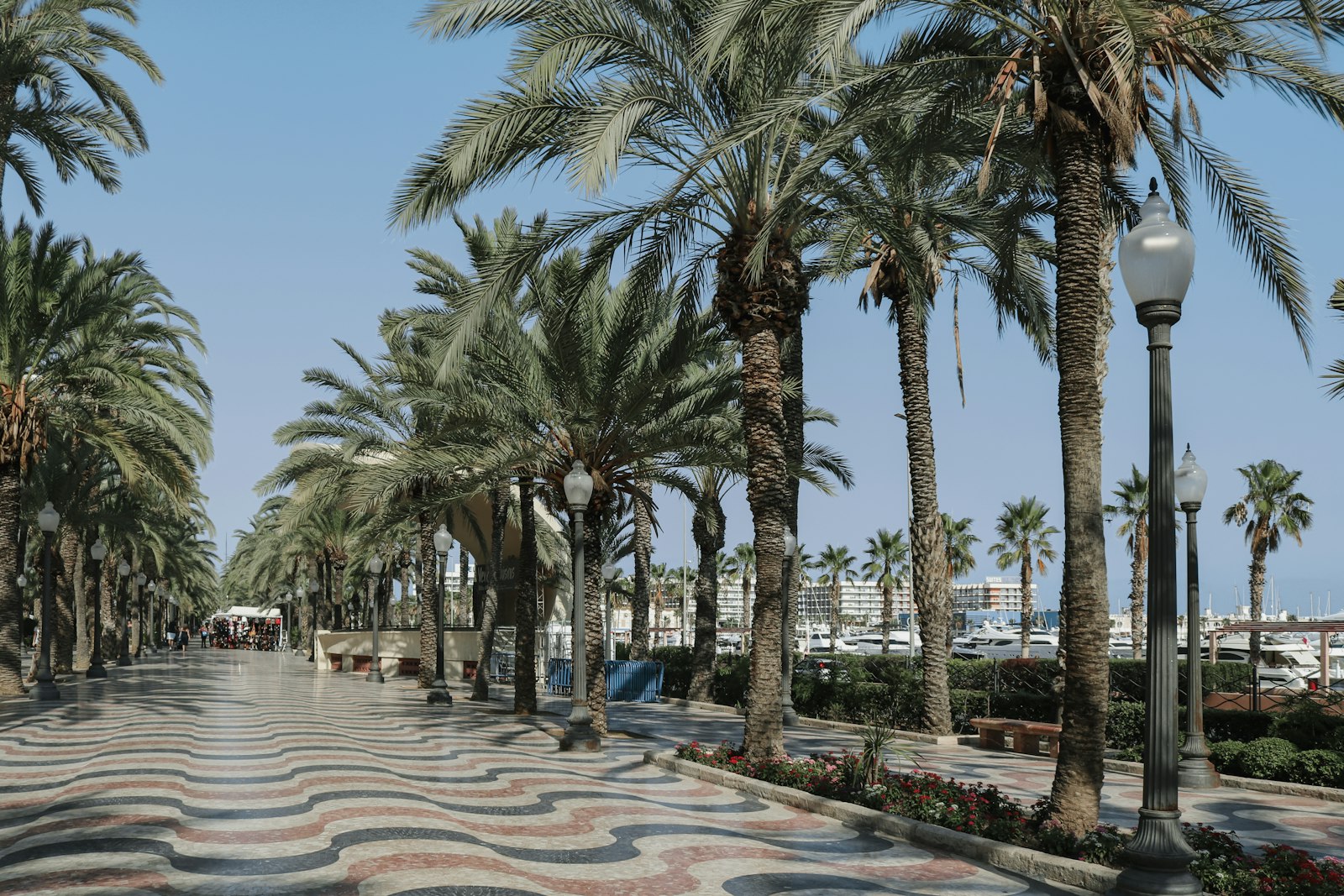 Palmenboulevard Explanada de España in Alicante met de bekende golvende mozaïekvloer